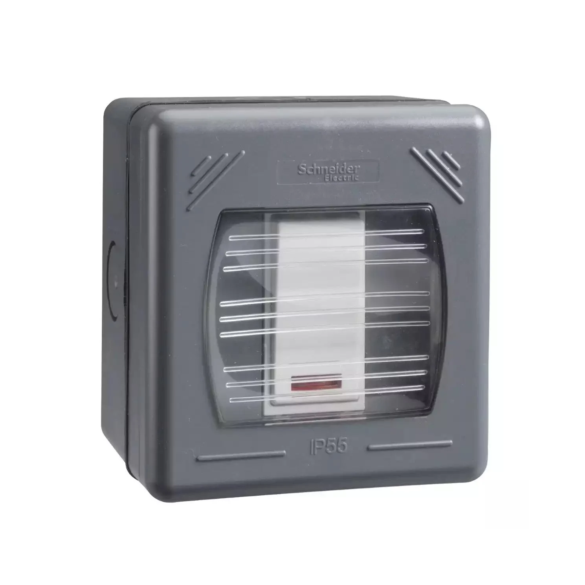 Schneider Electric 20A DP Switch GWP2011 With Neon IP55 Weatherproof,