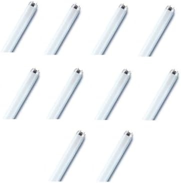 Osram Fluorescent Tube Basic T8 L 58 Watts 6500K Daylight White G13 Base 1.5 M – Energy-Efficient Fluorescent Tube- Pack of 10