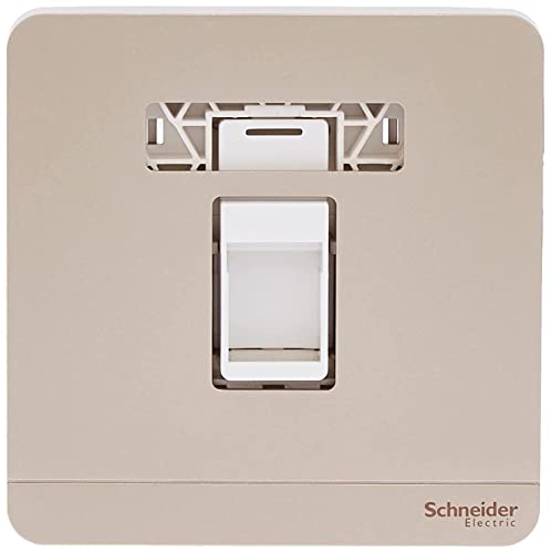 Schneider Electric E8331RJS_WG AvatarOn Gold - 1 Gang Keystone Wallplate with Shutter without Ketstone Jack RJ-45