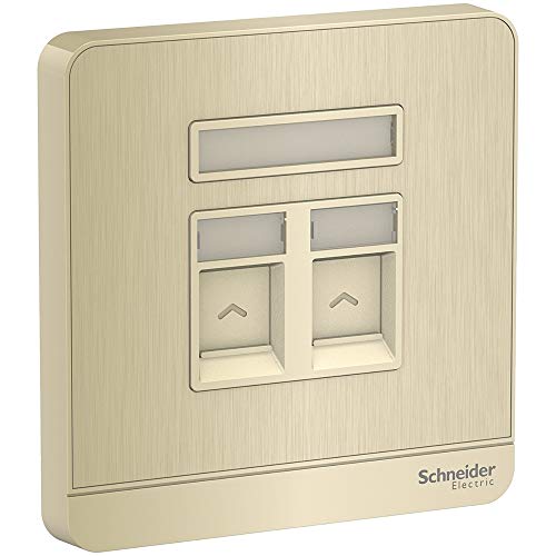 Schneider Electric AvatarOn E8332RJS_GH 1 Gang 2 Keystone Wallplate Jack RJ-45 Metal Gold Hairline