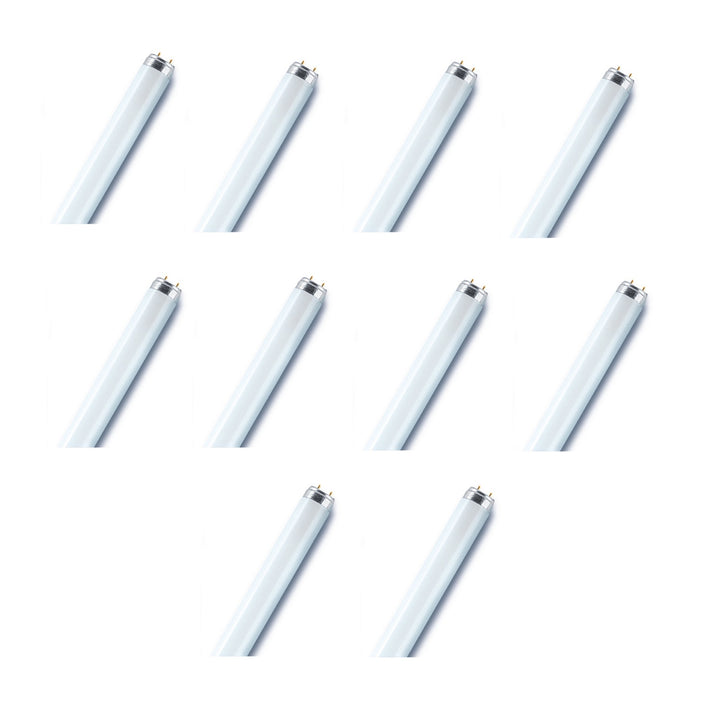 Osram/ Ledvance Fluorescent Tube Light Basic T8 L 58 Watts 1.5 m