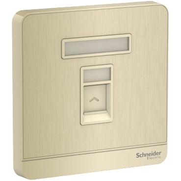 Schneider Electric AvatarOn, telephone socket, metal gold hairline E8331RJS4_GH