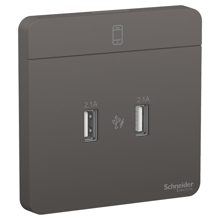 Schneider Electric AvatarOn 2.1 A Dual USB Charger – Dark Grey E8332USB_DG