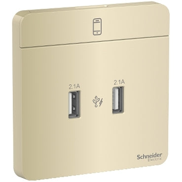 Schneider Electric AvatarOn, USB charger, 2 type A, 2.1 A, Wine Gold E8332USB_WG