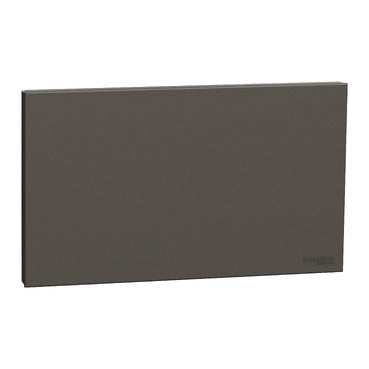 Schneider Electric Blank Plate, AvatarOn C, 2 gang, dark grey - E8730TX_WE