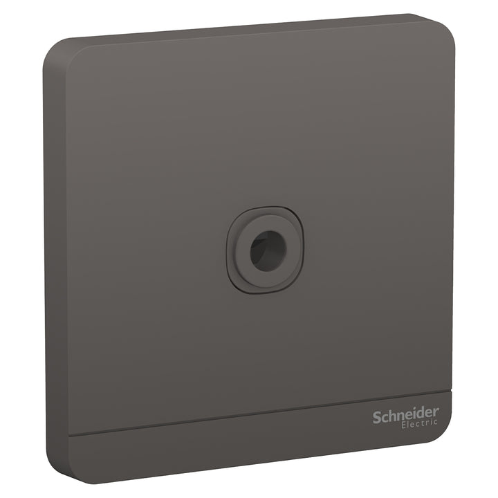 Schneider Electric AvatarOn, fused connection, 25A, 250V, Metal Gold Hairline (Model Number-E8331TB_DG)