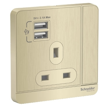 Schneider ElectricAvatarOn, 2 USB charger + switched socket, 3P, 13A, Metal Gold Hairline E8315USB_GH_G11