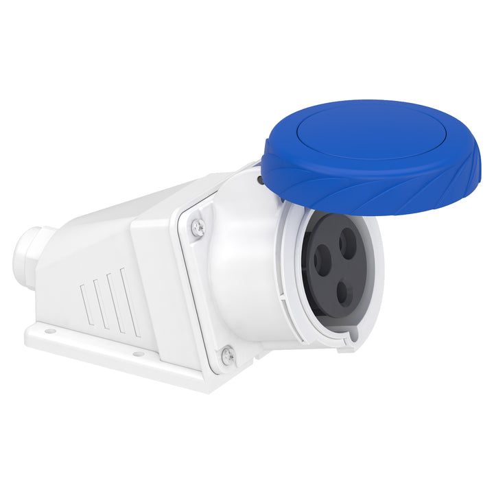Schneider PratiKa Angled Industrial Socket, 32A, 2P+E, 200-250V AC, Wall Mounted - PKF32W723
