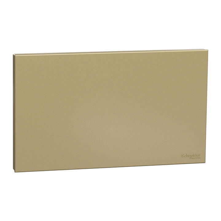 Schneider Electric Blank Plate, AvatarOn C, 2 gang, wine gold - E8730X_DG