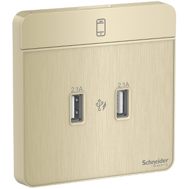 Schneider Electric AvatarOn, USB charger, 2 type A, 2.1 A, Metal Gold Hairline E8332USB_GH