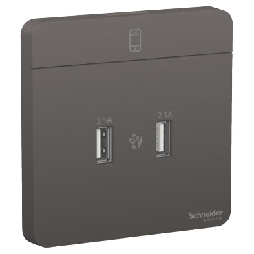 Schneider Electric AvatarOn, 2 USB charger, 2.1A, Dark Grey E8332USB_DG