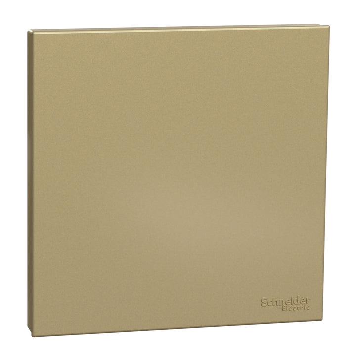 Schneider Electric Blank Plate, AvatarOn C, 1 gang, wine gold - E8730X_WG