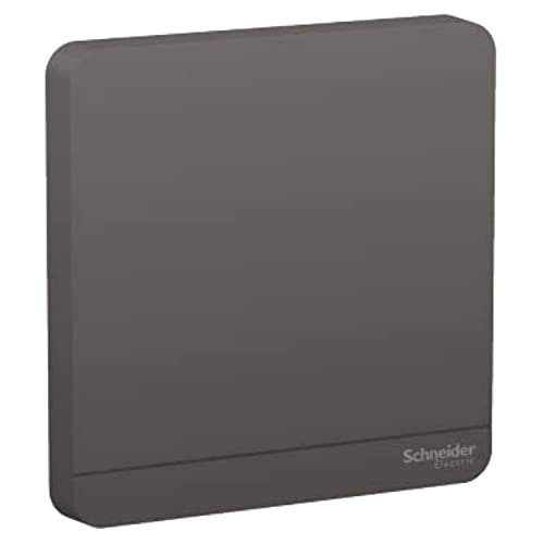 Schneider Electric AvatarOn Blank Plate1 Gang - E8330X