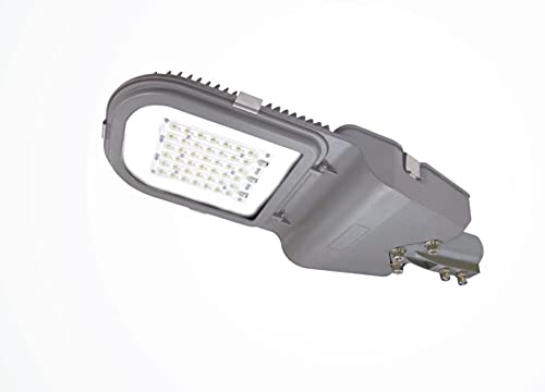 Nikkon S437 LED Lantern 60W Street Light